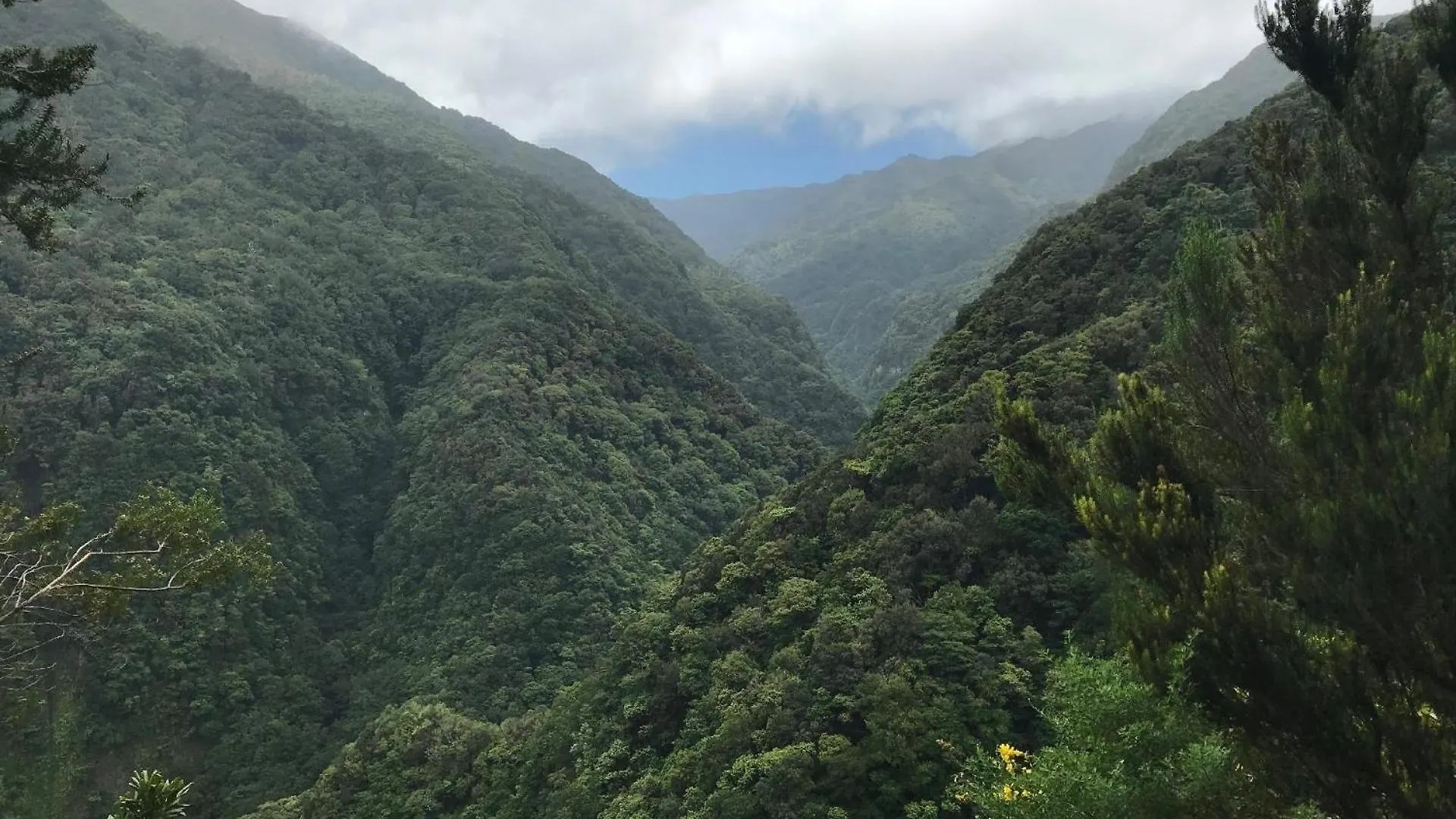 Ferienwohnung Fuer 8 Personen Ca 120 M In Canico, Madeira Suedkueste Von Madeira Levadas Apartment