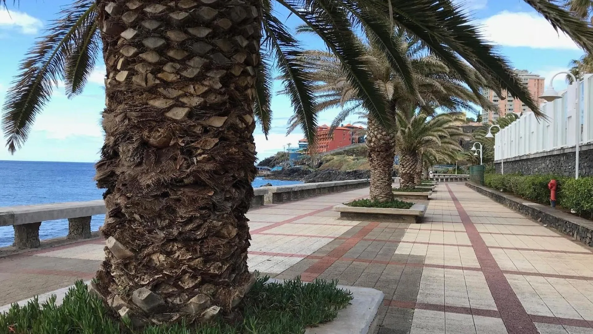 Ferienwohnung Fuer 8 Personen Ca 120 M In Canico, Madeira Suedkueste Von Madeira Levadas Apartment